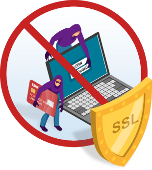 Protection of your website data