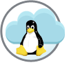 1 Enterprise VDS Linux