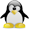 Linux VDS