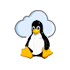 Cloud VDS (Linux)