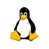 Linux VPS (OpenVZ)