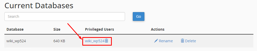 Database user